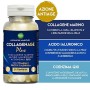 Farmac, Collagene con Acido Ialuronico e Coenzima Q10| Integratore per la salute di Pelle, Ossa ed Articolazioni| 90 Collagene C