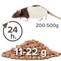 Beaphar Care Plus - Ratto, 5 kg