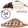 Beaphar Care Plus - Ratto, 5 kg