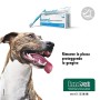 Innovet Restomyl Dentifricio, Rimuove la placca proteggendo le gengive, per cani e gatti - Confezione con spazzolina extra soft