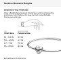 Pandora Bangle Donna argento - 596268-19