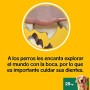 Pedigree Dentastix, Snack per Cani